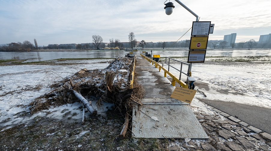 Treibgut war nach dem letzten Hochwasser am Anleger der Elbfähre im Stadtteil Neustadt festgefroren. / Foto: Robert Michael/dpa