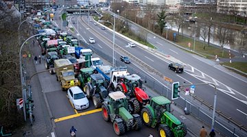 Трактори припарковані на дорозі на межі протестів фермерів / Фото: Laszlo Pinter/dpa
