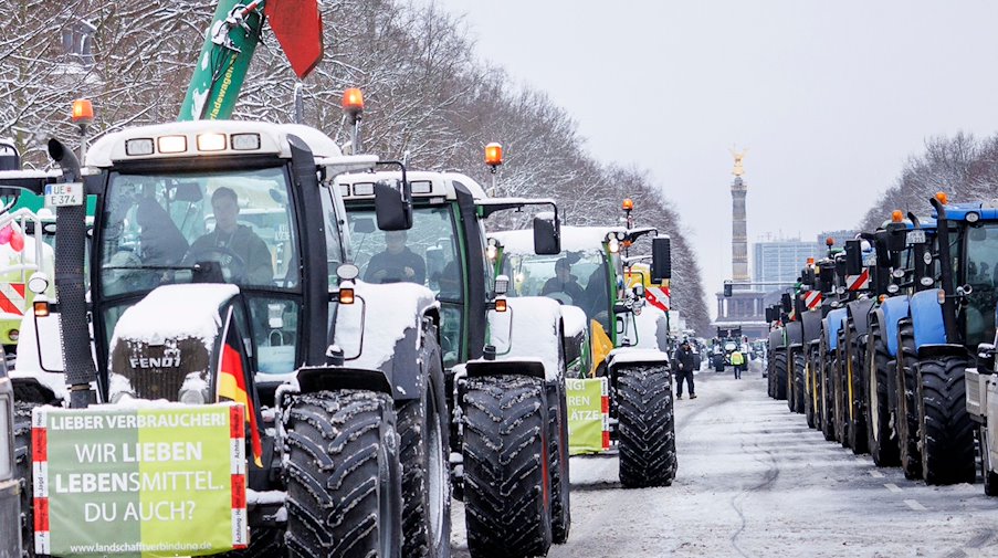 Ein Schild mit der Aufschrift «Wir lieben Lebensmittel. Du auch?» ist an einem Traktor befestigt. / Foto: Carsten Koall/dpa