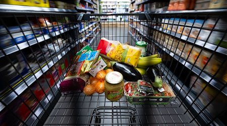 Verschiedene Lebensmittel liegen in einem Einkaufswagen. / Foto: Sven Hoppe/dpa/Symbolbild