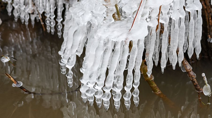 Icicles hang like bone fingers from branches and twigs in the flooded area after the Helme flood. As the situation at the dam and along the Helme is easing, the district of Mansfeld-Südharz is planning to lift the state of emergency. / Photo: Jan Woitas/dpa