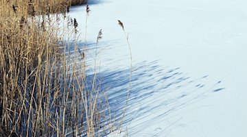 Ein zugefrorener See. / Foto: picture alliance / Marco Krefting/dpa /dpa/Symbolbild