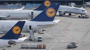 Aviones de pasajeros de Lufthansa estacionados en un aeropuerto / Foto: Boris Roessler/dpa/Imagen simbólica