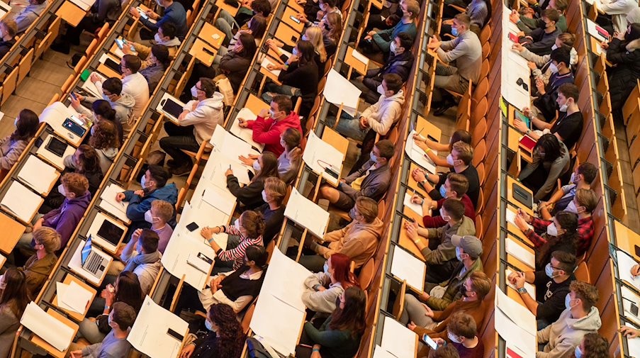 طلاب يجلسون في قاعة محاضرات جامعية. / صورة: بيتر نفيل / دبا / صورة رمزية