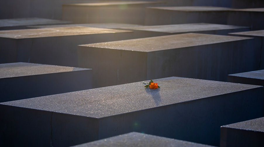 Eine Rose liegt anlässlich des Internationalen Tags des Gedenkens an die Opfer des Holocaust auf einer Stele des Denkmals für die ermordeten Juden Europas. / Foto: Christoph Soeder/dpa