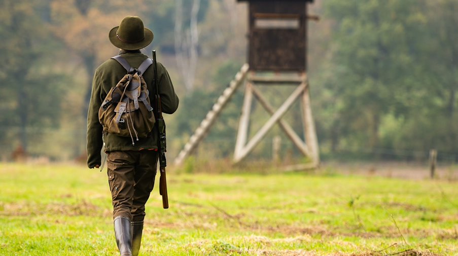 A hunter walks to a high seat with her rifle / Photo: Philipp Schulze/dpa