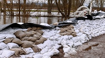 Volunteers and fire departments have built a large dam of sandbags over the last few days / Photo: Heiko Rebsch/dpa