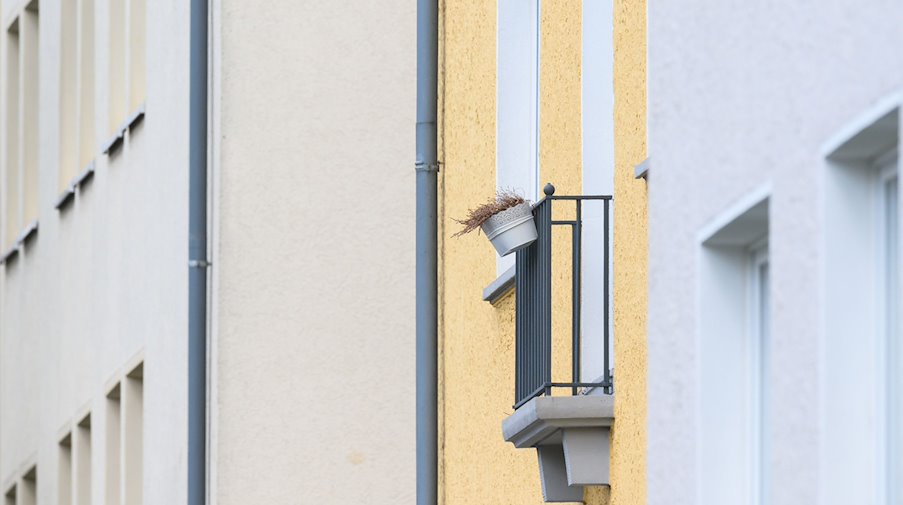 Vista de bloques de apartamentos en una ciudad / Foto: Julian Stratenschulte/dpa/Imagen simbólica