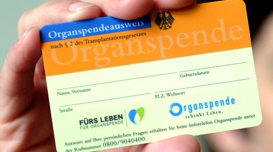 Una mujer sostiene en la mano una tarjeta de donante de órganos / Foto: Caroline Seidel/dpa