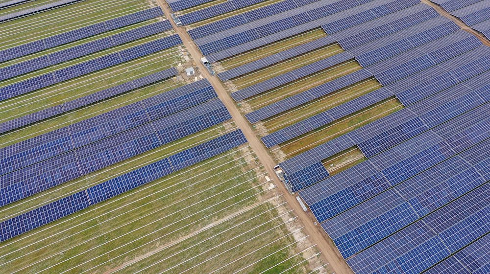 Workers assemble solar panels at the Witznitz energy park, which is not far from the planned Kleinzössen energy park. / Photo: Jan Woitas/dpa/Archivbild