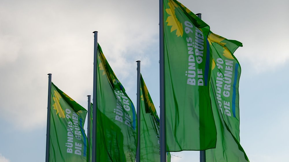 Los Verdes de Sajonia quieren debatir su programa para las elecciones estatales del 1 de septiembre / Foto: Stefan Puchner/dpa/Archivbild