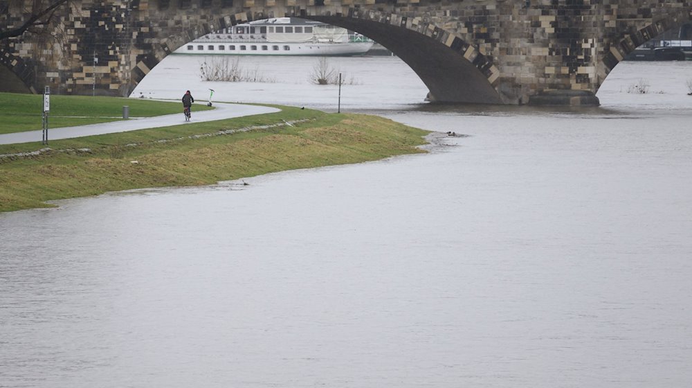 The Elbe meadows are flooded by the high water of the Elbe next to the cycle path / Photo: Robert Michael/dpa