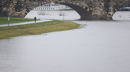 Die Elbwiesen sind vom Hochwasser der Elbe neben dem Radweg überflutet. / Foto: Robert Michael/dpa