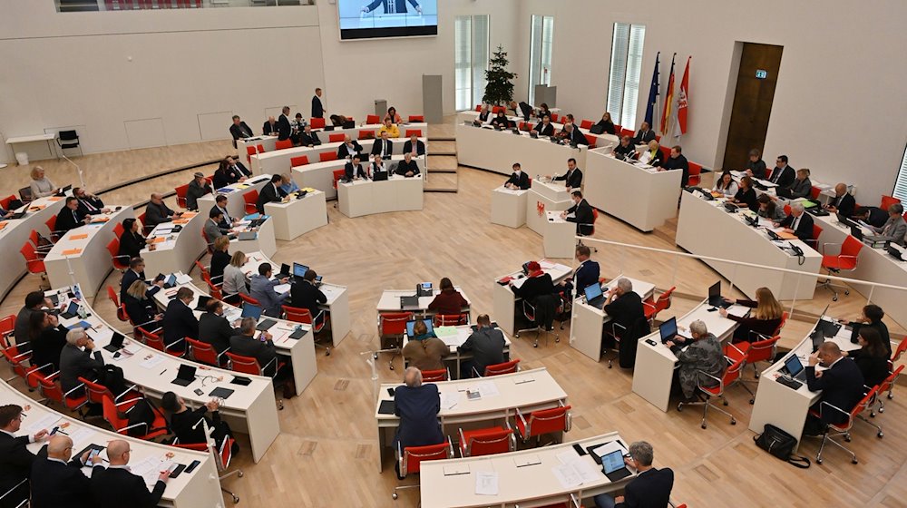 Members of parliament discuss the budget law in a session of the Brandenburg state parliament / Photo: Bernd Settnik/dpa-Zentralbild/dpa