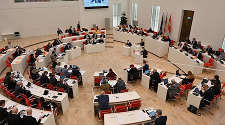 Die Abgeordneten beraten in einer Sitzung des Brandenburger Landtags über das Haushaltsgesetz. / Foto: Bernd Settnik/dpa-Zentralbild/dpa