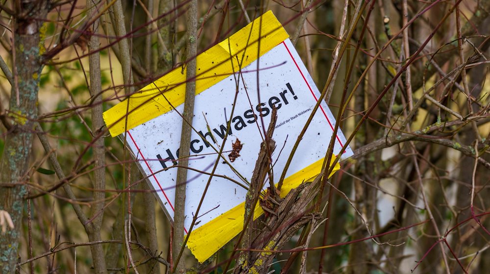 Ein Plakat «Hochwasser!» hängt in einer Hecke. / Foto: Andreas Arnold/dpa