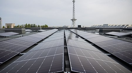 Paneles solares en el tejado de Messe Berlin, frente a la torre de radio, antes de un acto con la prensa sobre la construcción de la mayor instalación fotovoltaica de Berlín por Stadtwerke und Messe. / Foto: Christoph Soeder/dpa