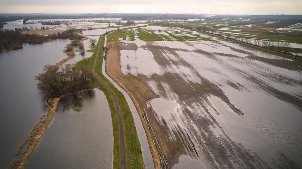 The Havel meadows near Schmergow in the district of Potsdam-Mittelmark are almost completely under water due to the long period of rain / Photo: Georg Moritz/dpa