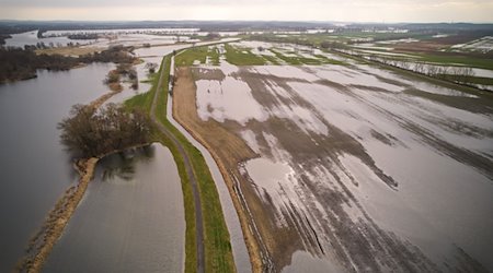 Los prados de Havel, cerca de Schmergow, en el distrito de Potsdam-Mittelmark, están casi completamente bajo el agua debido al largo periodo de lluvias / Foto: Georg Moritz/dpa