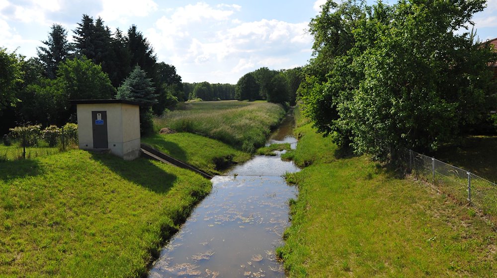 Der Weiße Schöps im Jahr 2014, der in Rietschen in ein neues Flussbett fließt. / Foto: Matthias Hiekel/dpa/Archivbild