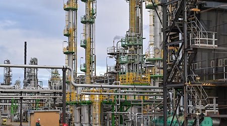 Різні установки з переробки сирої нафти на території компанії PCK-Raffinerie GmbH. Нафтопереробний завод у місті Шведт в землі Укермарк на північному сході Бранденбургу забезпечує паливом значну частину північно-східної Німеччини / Фото: Patrick Pleul/dpa
