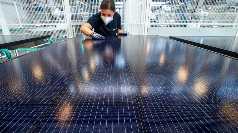Un empleado inspecciona un módulo solar en la inspección final de una línea de producción de módulos solares en la planta de Meyer Burger Technology AG en Freiberg. / Foto: Hendrik Schmidt/dpa-Zentralbild/dpa/Archive image