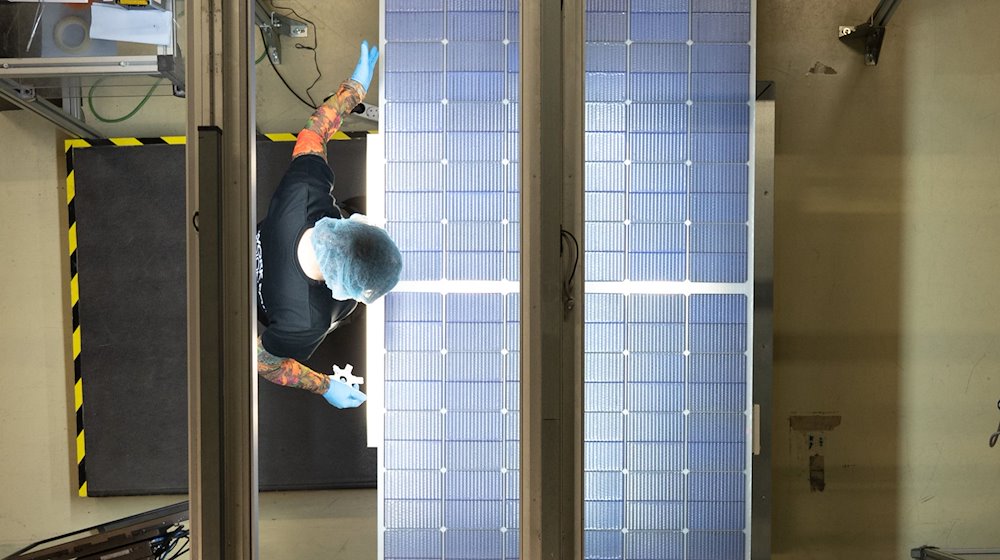 Eine Mitarbeiterin steht bei der Qualitätskontrolle an einer Produktionslinie für Solarmodule im Werk der Meyer Burger Technology AG. / Foto: Sebastian Kahnert/dpa-Zentralbild/dpa