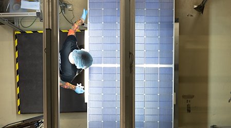 Eine Mitarbeiterin steht bei der Qualitätskontrolle an einer Produktionslinie für Solarmodule im Werk der Meyer Burger Technology AG. / Foto: Sebastian Kahnert/dpa-Zentralbild/dpa