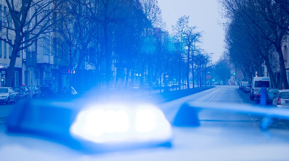 A blue light shines on the roof of a police patrol car / Photo: Christoph Soeder/dpa/Symbolic image