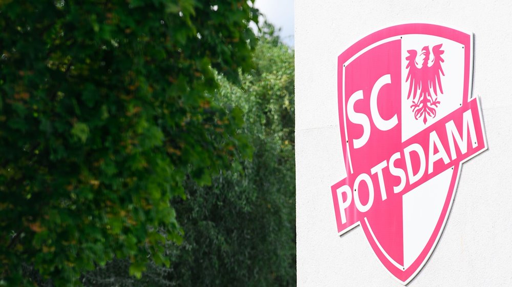 The logo of the sports club SC Potsdam e.V. / Photo: Soeren Stache/dpa-Zentralbild/dpa
