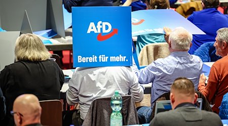 An AfD delegate messes around with a mobile voting booth at the AfD state party conference / Photo: Jan Woitas/dpa