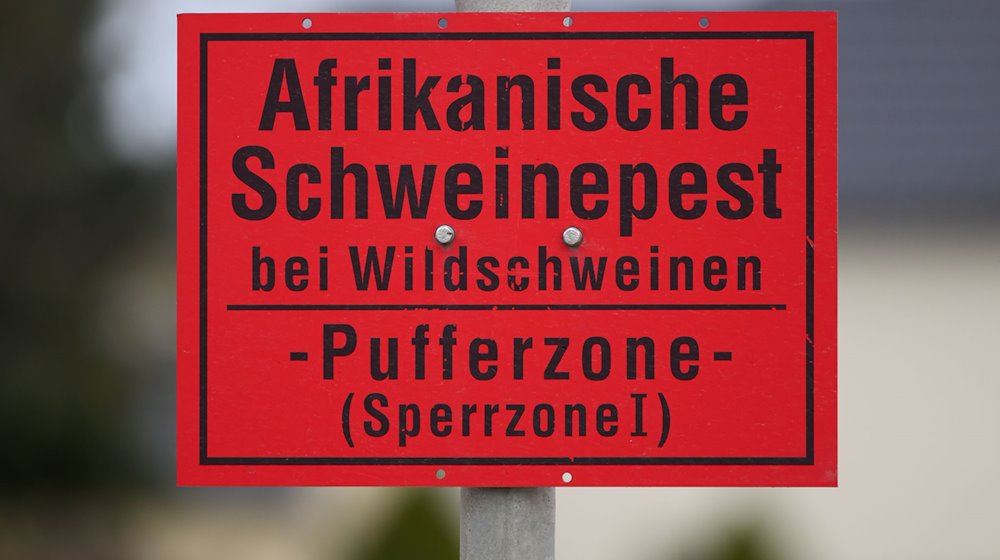Ein Schild Afrikanische Schweinepest bei Wildschweinen - Pufferzone (Sperrzone 1) ist an einem Ortseingangsschild im Landkreis Bautzen montiert. / Foto: Robert Michael/dpa