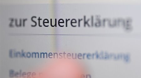 Die Eingabe des Steuerportals Elster, dargestellt auf einem Computerbildschirm. / Foto: Bernd Weißbrod/dpa