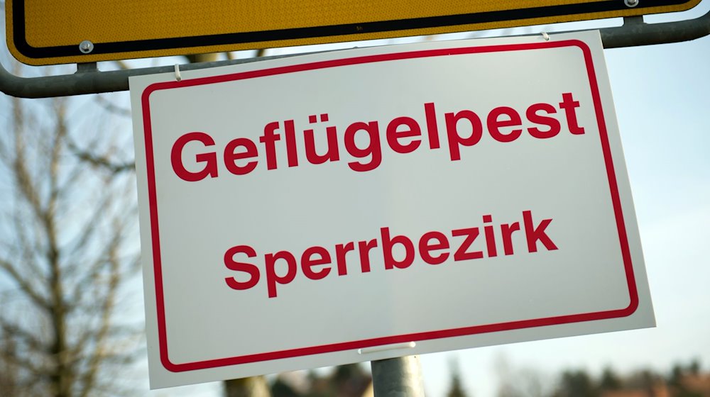На в'їзді до міста висить табличка з написом "Територія з обмеженим доступом через пташиний грип" / Фото: Arno Burgi/dpa-Zentralbild/dpa