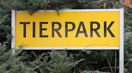 Un cartel "Tierpark" frente al zoo de Chemnitz (Sajonia). / Foto: Jan Woitas/dpa/Archivbild