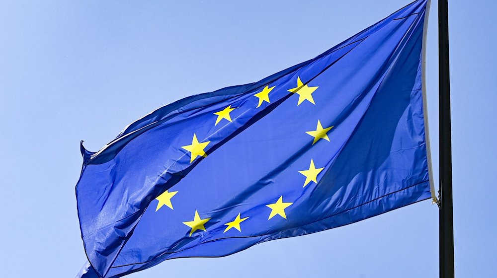 A European flag flies in front of a blue sky / Photo: Jens Kalaene/dpa-Zentralbild/dpa/Symbolic image