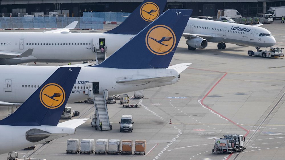 Aviones de pasajeros de Lufthansa estacionados en un aeropuerto / Foto: Boris Roessler/dpa/Imagen simbólica