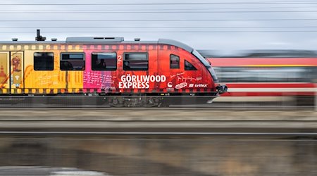 Ein Trilex-Zug der Länderbahn mit der Werbung „Görliwood Express“ fährt nach Görlitz. / Foto: Robert Michael/dpa