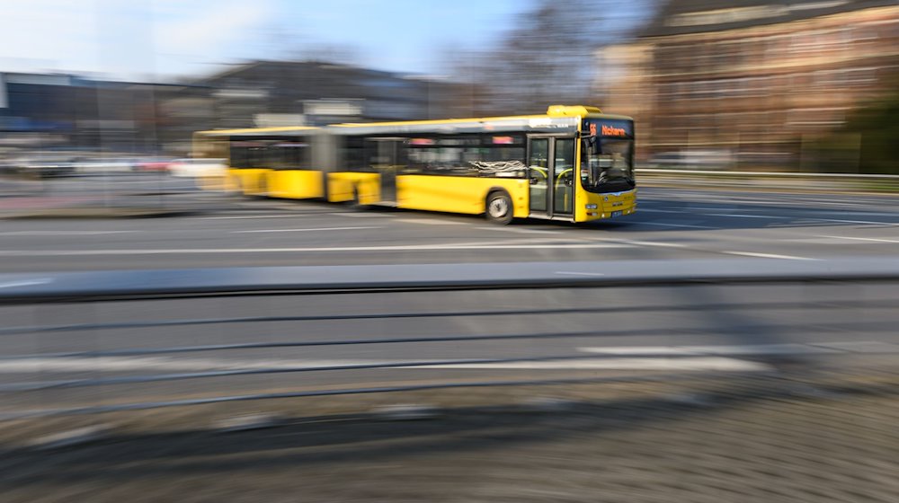 A bus of the Dresdner Verkehrsbetriebe (DVB) crosses Fritz-Foerster-Platz on line 66 / Photo: Robert Michael/dpa