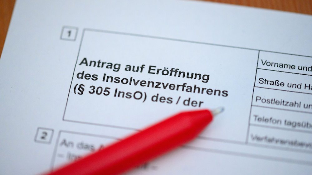 Ein Kugelschreiber liegt auf einem Antrag zur Eröffnung eines Insolvenzverfahrens. / Foto: Jonas Walzberg/dpa