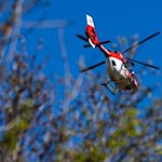 Ein Helikopter der DRF Luftrettung schwebt am Himmel über einem Waldstück. / Foto: Philipp von Ditfurth/dpa