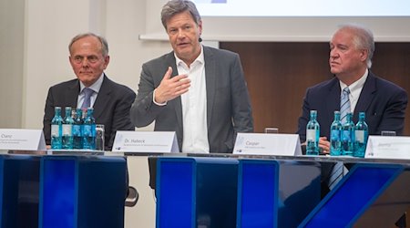Bundeswirtschaftsminister Habeck kämpft um Erhalt der deutschen Solarindustrie