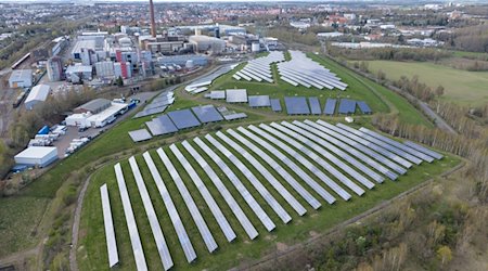 Paneles solares en un campo solar frente a la planta de la empresa solar Meyer Burger / Foto: Sebastian Kahnert/dpa