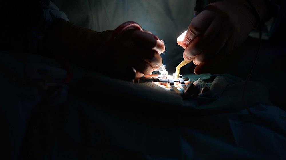 Ein Mediziner arbeitet in einer Klinik mit medizinischem Werkzeug. / Foto: Felix Kästle/dpa/Symbolbild