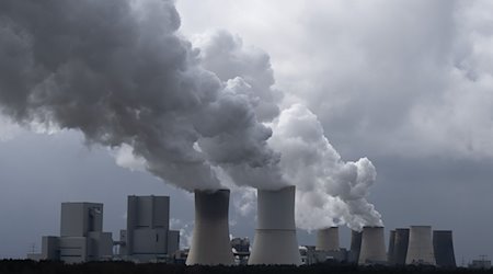 Steam rises from the cooling towers of the Boxberg coal-fired power plant in Lusatia near the Polish border / Photo: Sebastian Kahnert/dpa