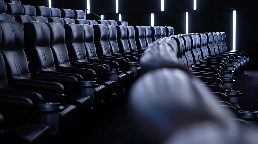 Cinema seats in a movie theater / Photo: Sven Hoppe/dpa/Symbolic image