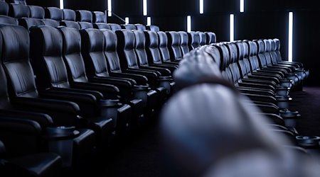 Кінотеатральні крісла в кінотеатрі / Фото: Sven Hoppe/dpa/Symbolic image