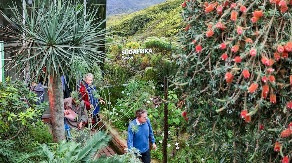 Відвідувачі прогулюються нещодавно відкритим Середземноморським домом у Ботанічному саду Лейпцизького університету / Фото: Jan Woitas/dpa