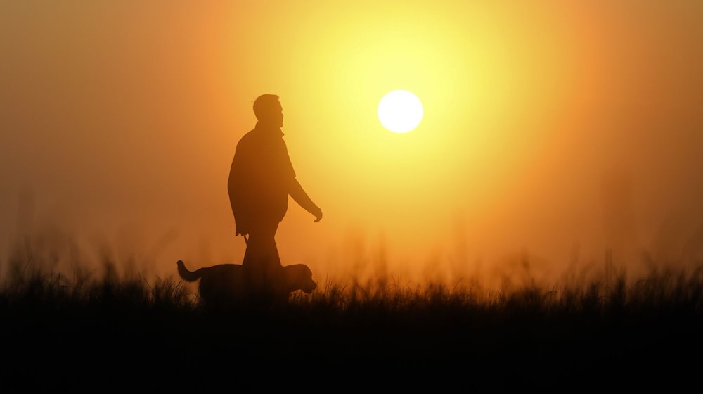 Ein Mann geht am Morgen, im von der aufgehenden Sonne gelblich gefärbten Morgennebel mit seinem Hund spazieren. / Foto: Thomas Warnack/dpa