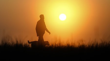 A man walks his dog in the morning in the yellowish morning mist colored by the rising sun. / Photo: Thomas Warnack/dpa